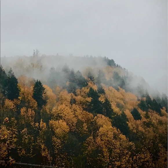 Meet your Posher, Chalet - Picture 1 of 1